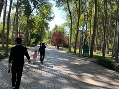 -仁和公园(顺义区)