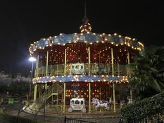 -锦江乐园舞狸花花游园会(夜场专享)