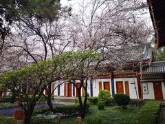 -大唐博相府酒店·陕西官府菜