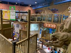 点击看大图 -卡通尼·Safari非洲探索乐园·生日会(金桥国际商业广场店)