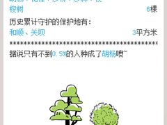 -哈桑二世清真寺