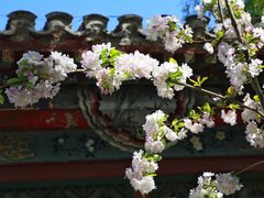 -海棠花溪(元大都城垣遗址公园)