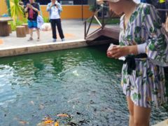 -水都餐厅