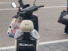 -小牛电动体验·租电动车(德胜门店)
