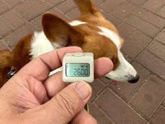 -美联众合动物医院·24h转诊中心