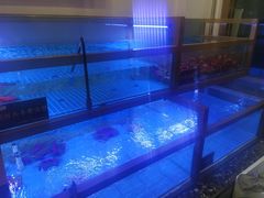 -膳富贵黄油蟹体验馆(欢乐港湾店)