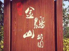 -金鸡山公园