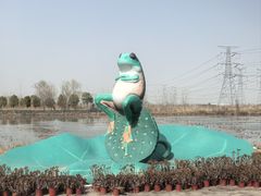 -池杉湖湿地公园