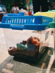 -酷嗒动物文化乐园(cutezoo西溪乐天城店)