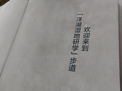 -洋湖国家湿地公园