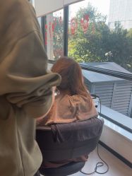 -意廊 Hair Salon