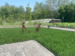 -溱湖国家湿地公园