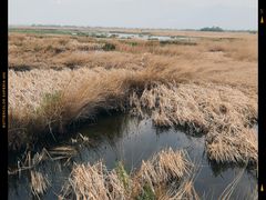 -野鸭湖国家湿地公园
