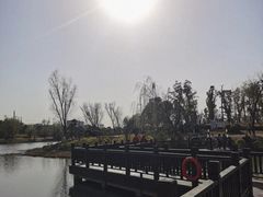 -九科绿洲