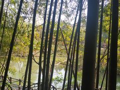 -宝岩生态观光园