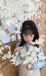 -大树儿童摄影