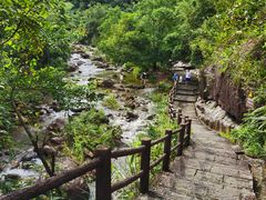 -广州白江湖森林公园