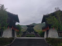 -大唐贡茶院