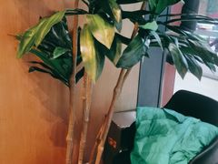 -青年公社·烤鸭(天玥中心店)