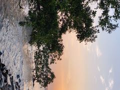 -宝安西湾红树林湿地公园