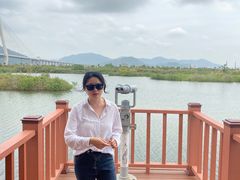 -芒洲湿地公园