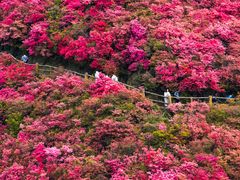 -木兰云雾山