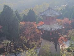 -原山国家森林公园