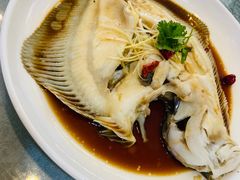 清蒸多宝鱼-韩记海鲜饺子旗舰店(红海新区店)
