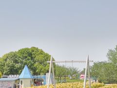 -空港花田景区