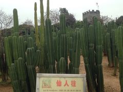 -松山湖梦幻百花洲