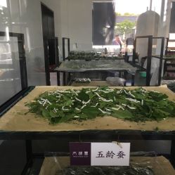 -太湖雪蚕桑文化园
