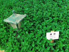 -天毓山庄·餐厅