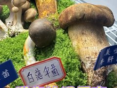 -束河人家(南锣鼓巷店)