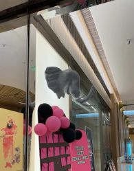 -YASAKI国际舞蹈中心