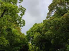 -苏州太湖国家湿地公园