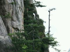 -大明山自然探索公园