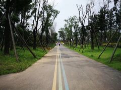 -白鹭湾湿地公园