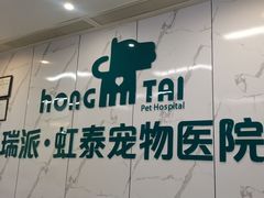 -虹泰宠物医院 ·旗舰店·24h(南秀路店)