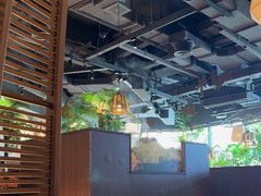 -大头椰·椰子鸡火锅(南宁万象城店)