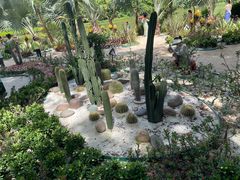 -西双版纳傣族园