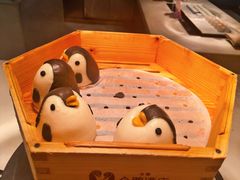 -帝企鹅自助餐厅•儿童岛•真企鹅(长隆企鹅酒店)