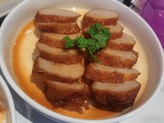 -MR鹅外