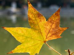 -西安市长乐公园