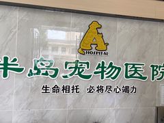 -半岛宠物医院24小时(科华中路店)