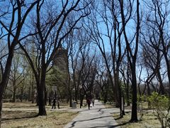 -玲珑塔公园