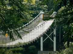 -东莞植物园