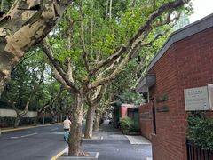 -毛辣果·酸(OHA复兴西路店)