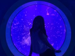 -海合安武汉极地海洋公园