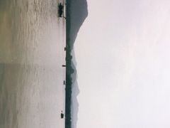 -西湖外事游船(花港观鱼码头)