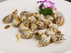 白灼花螺-乐兴海鲜餐厅